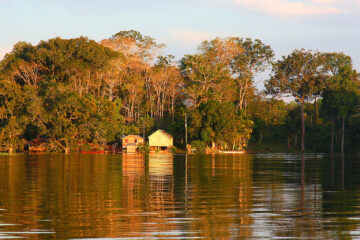 Amazonia