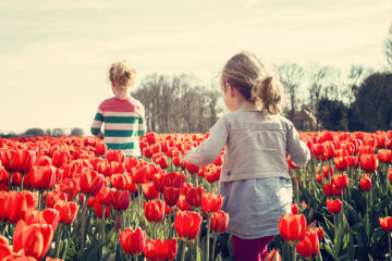 holand