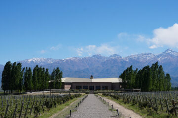 Mendoza