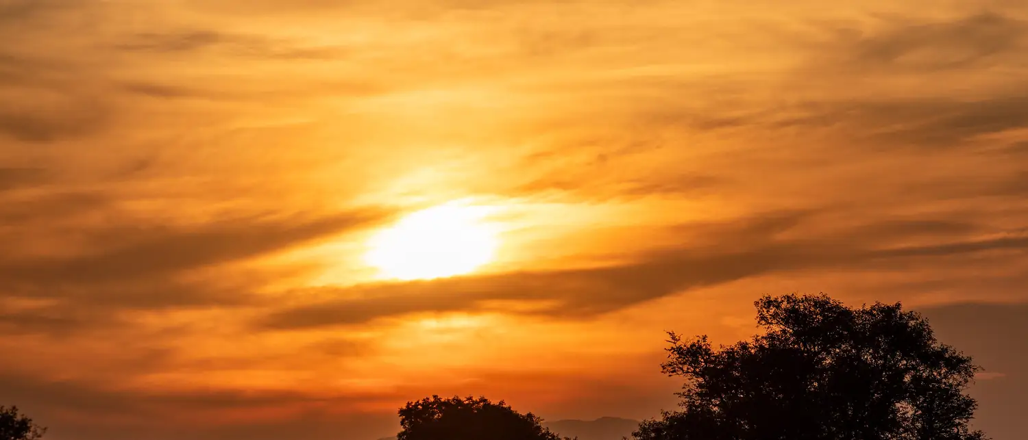 Pôr do sol dourado sobre a savana sul-africana