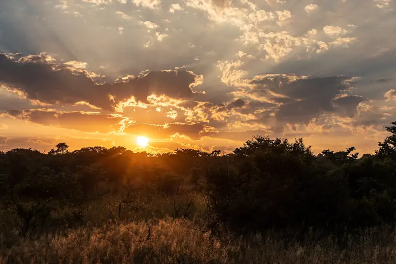 Pôr do sol na savana durante o safári