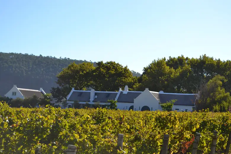 O vale de Franschhoek coberto de vinhedos