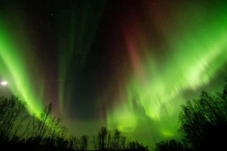 Aurora boreal verde e violeta sobre floresta perto de Fairbanks