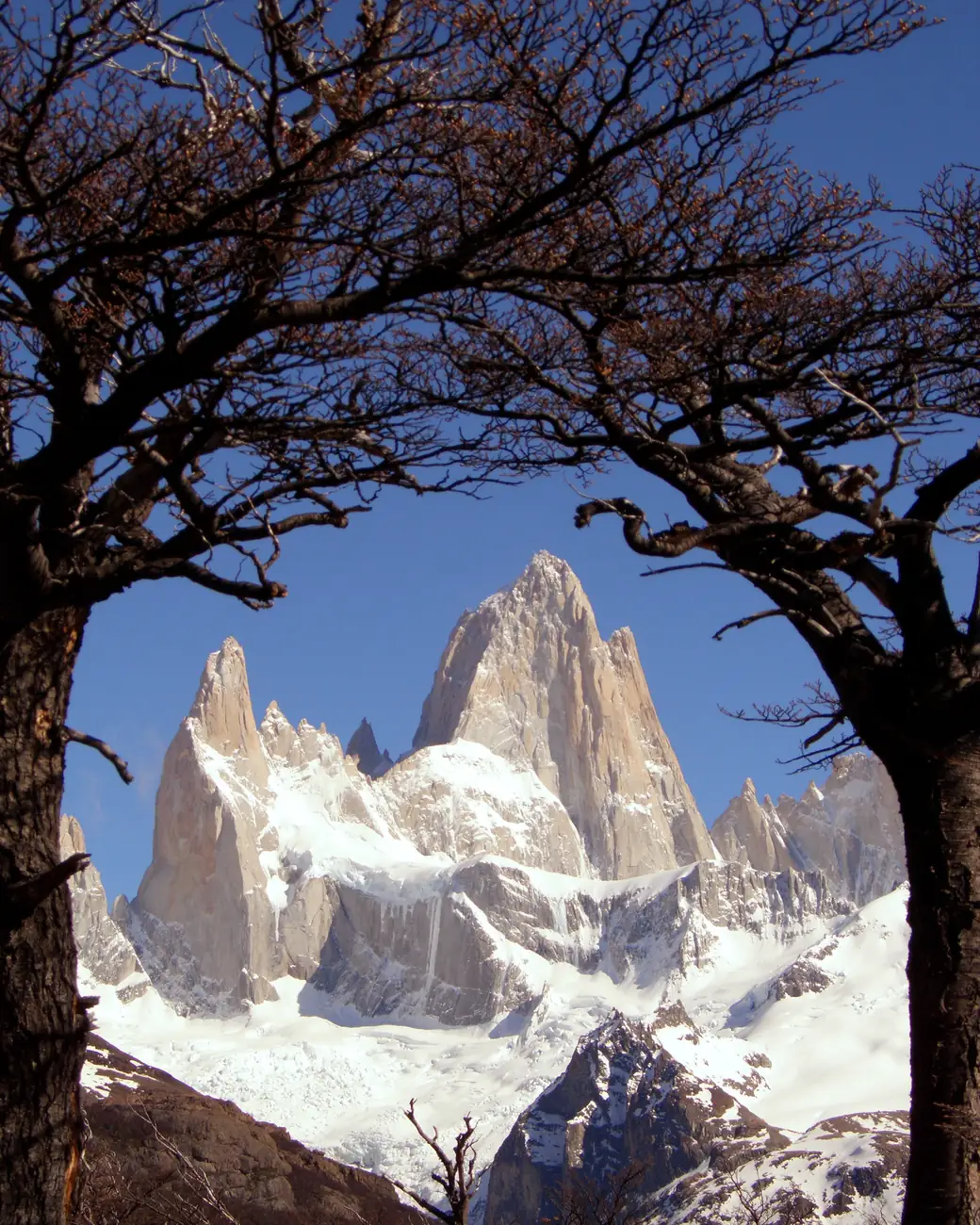 Monte Fitz Roy nevado emoldurado por árvores da estepe patagônica