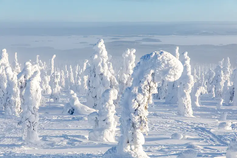 Floresta ártica carregada de neve sob o céu do norte da Suécia