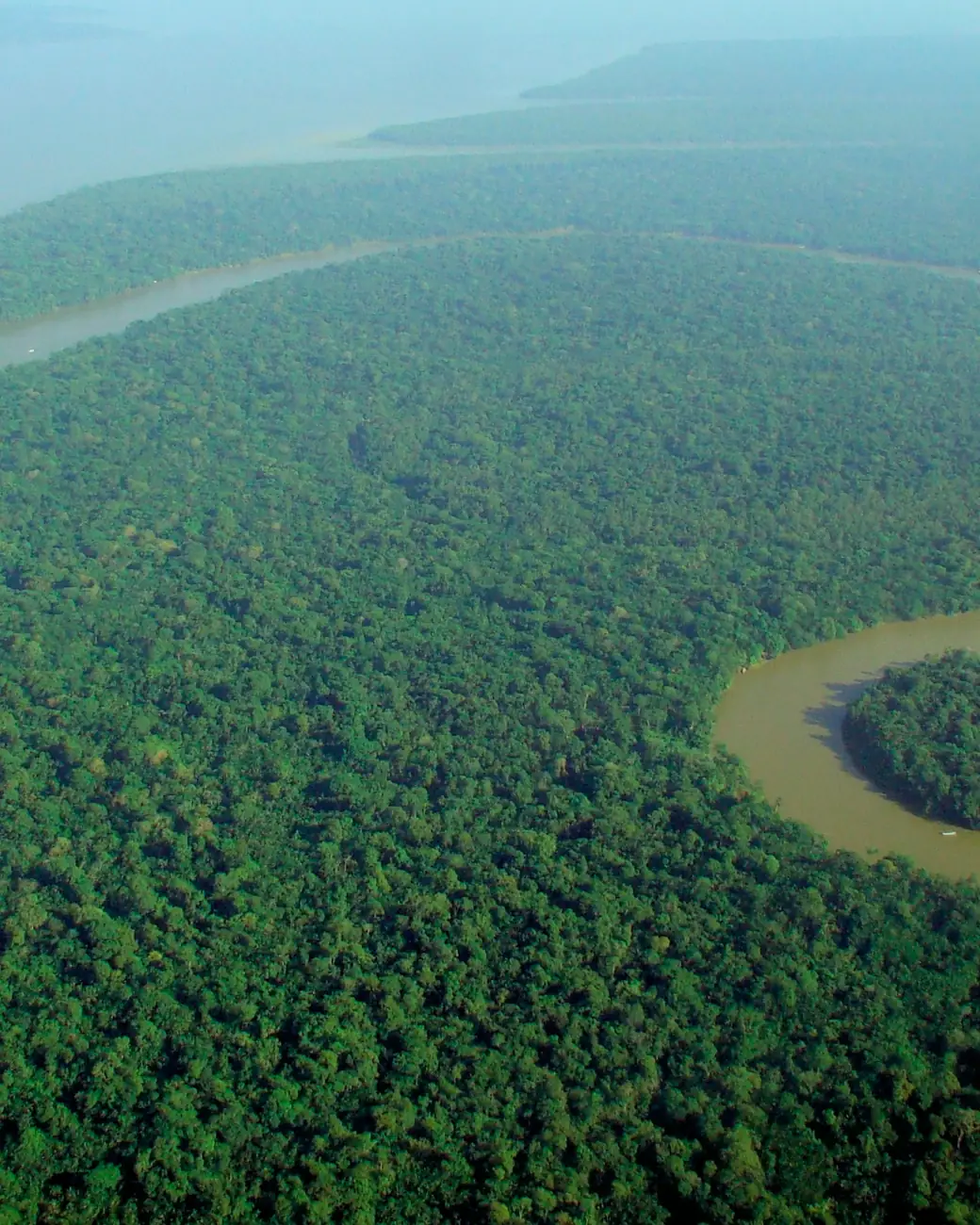 Rio serpenteando pela floresta amazônica vista do alto