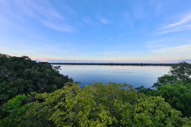 Mata e rio Negro no Parque Nacional de Anavilhanas
