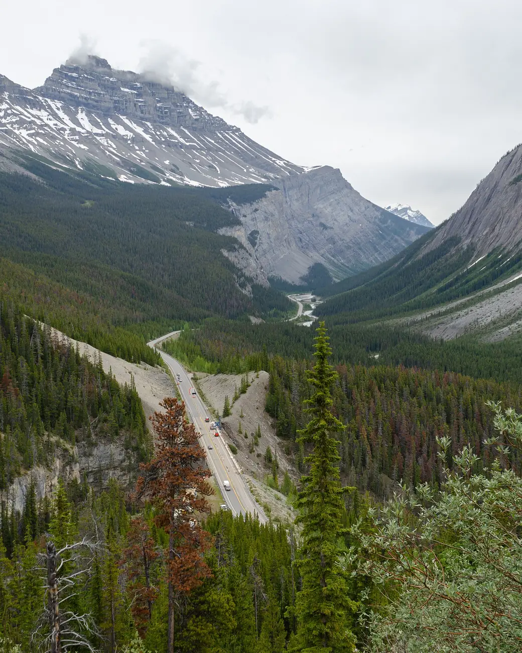 Icefields Parkway serpenteando entre picos e geleiras