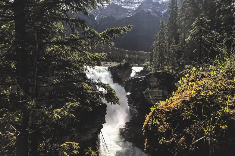 Cataratas Athabasca despencando no desfiladeiro de quartzito, em Jasper
