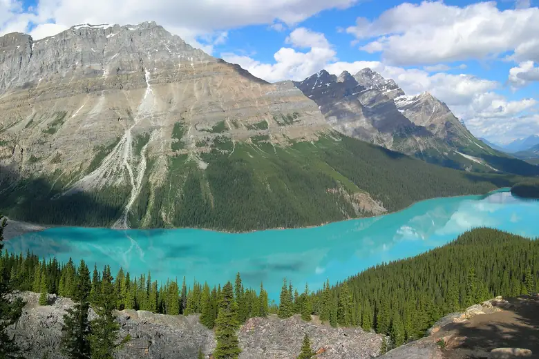 Lago Peyto visto do mirante, com sua forma de raposa e água azul-turquesa