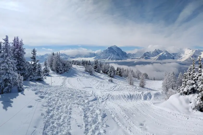 Pista de esqui entre árvores cobertas de neve nas Rochosas canadenses