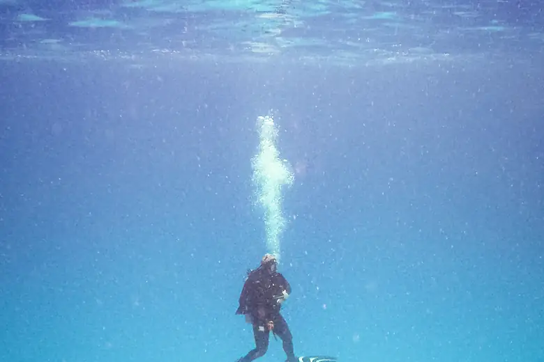 Mergulhador em parede de corais em Cozumel