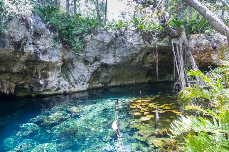 Rio de águas transparentes cercado de selva em um parque da Riviera Maya