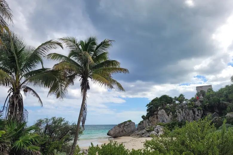 Palmeiras debruçadas sobre a praia de Tulum