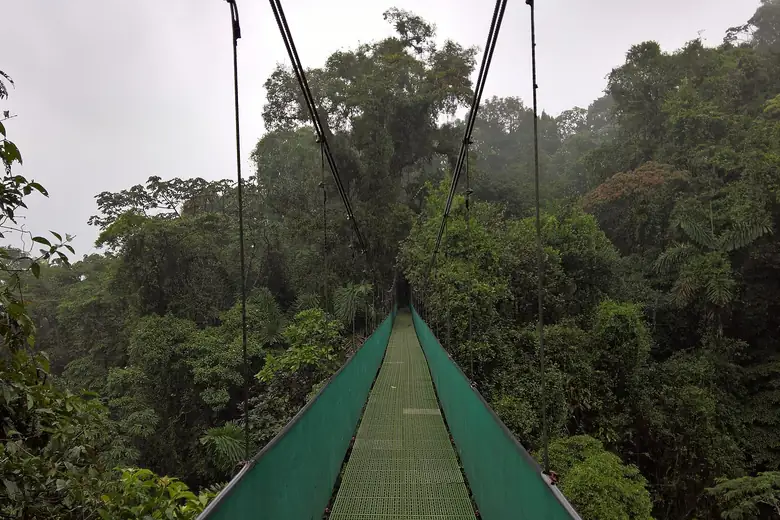 Ponte suspensa cruzando o dossel da floresta tropical na Costa Rica