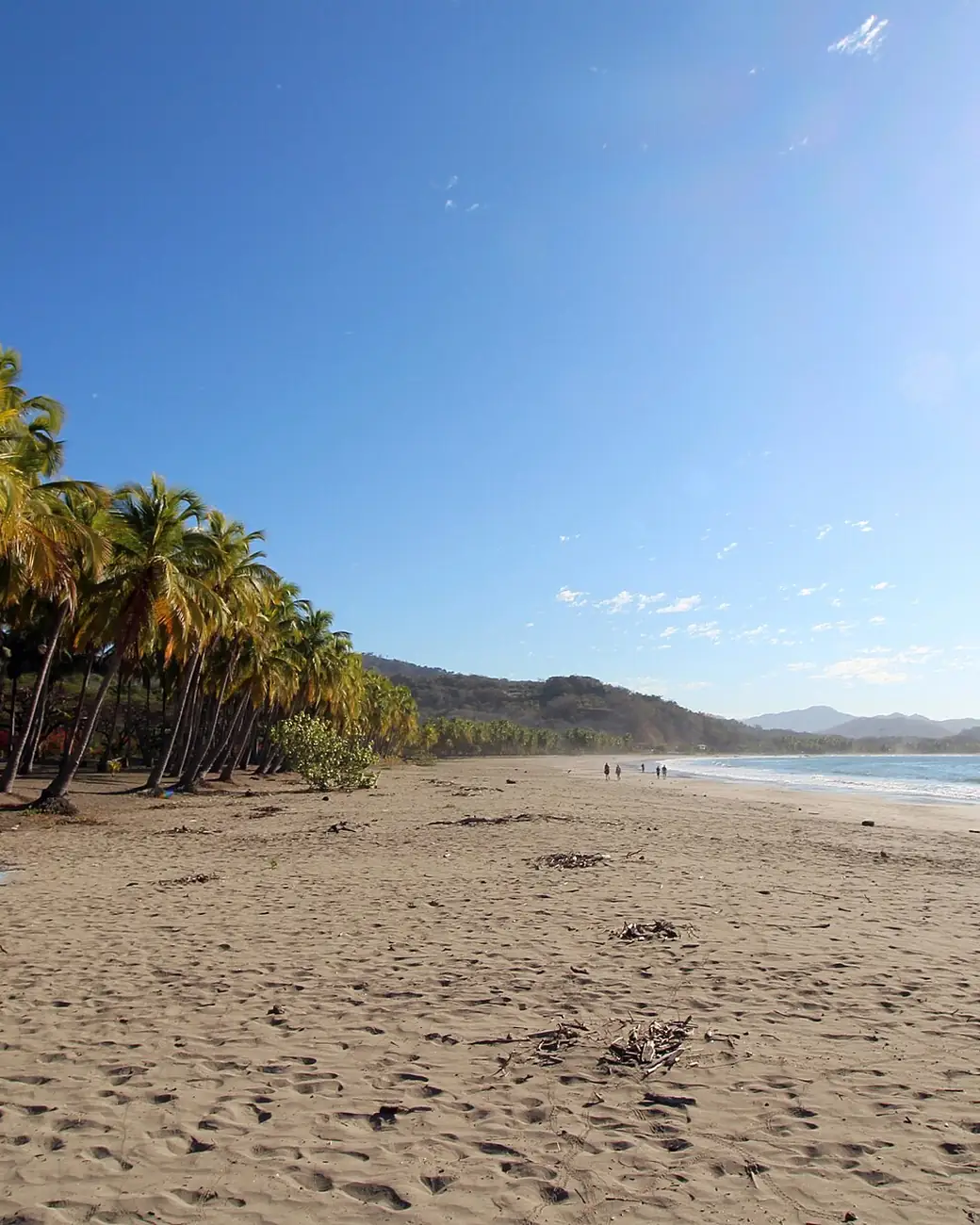 Praia dourada de Guanacaste com mar azul e vegetação ao fundo