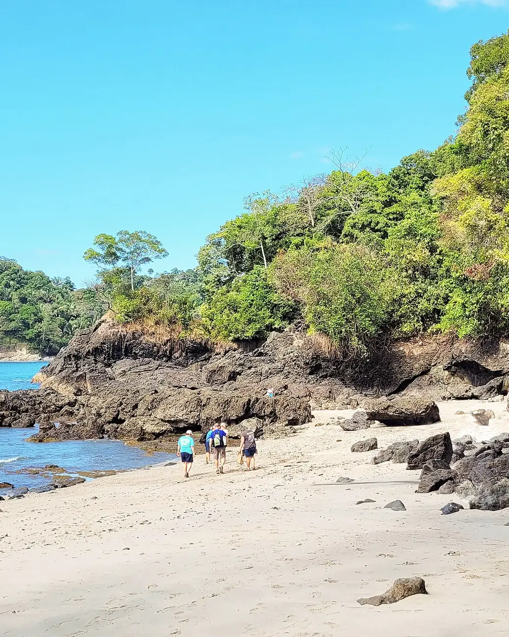 Praia de areia clara cercada de selva no parque nacional Manuel Antonio