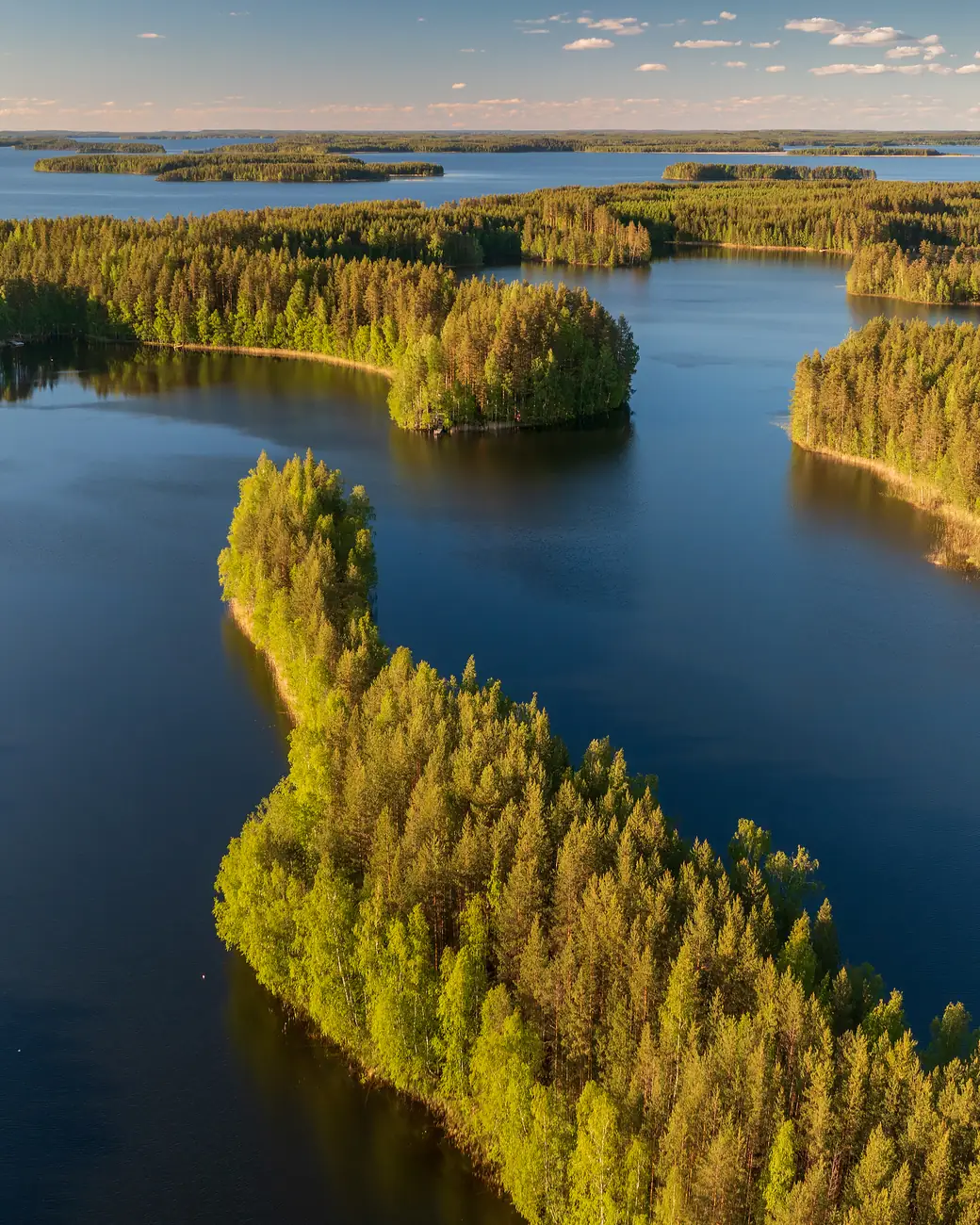 Ilhas de floresta verde recortando as águas azuis da região dos lagos, na Finlândia, vistas do alto no verão