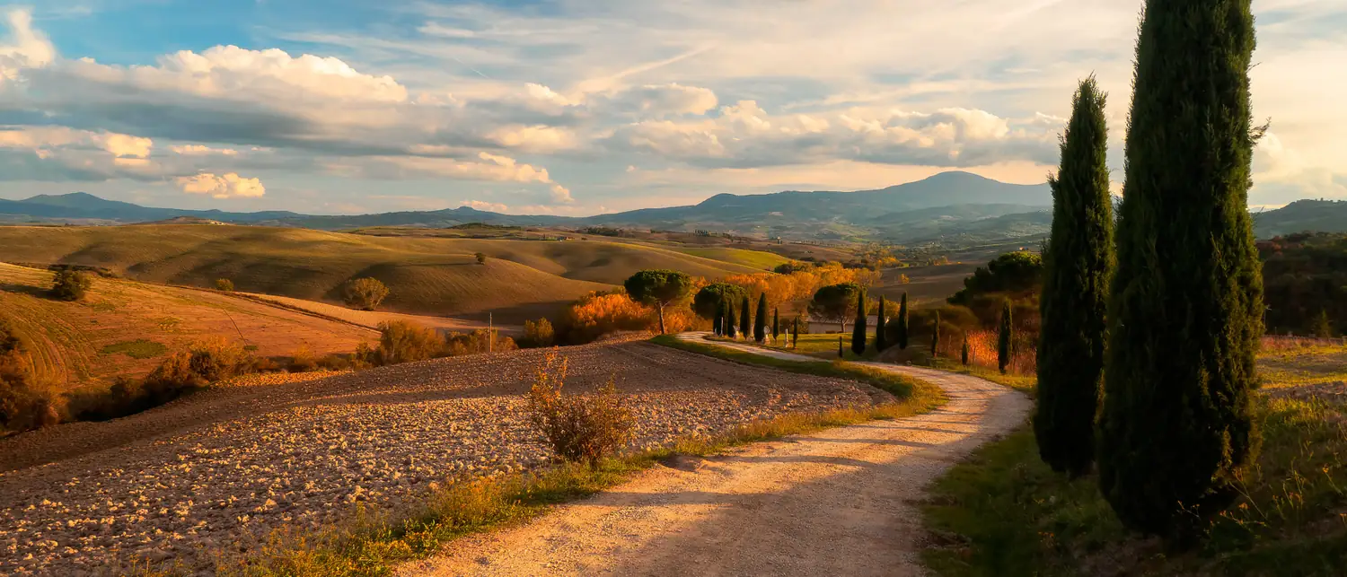 Colinas do Val d'Orcia, na Toscana, com ciprestes e luz dourada