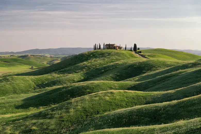 Colinas da Toscana com ciprestes e vinhedos ao amanhecer