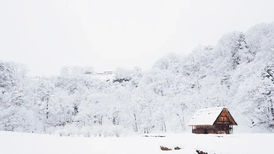 Vilarejo japonês de casas tradicionais coberto de neve