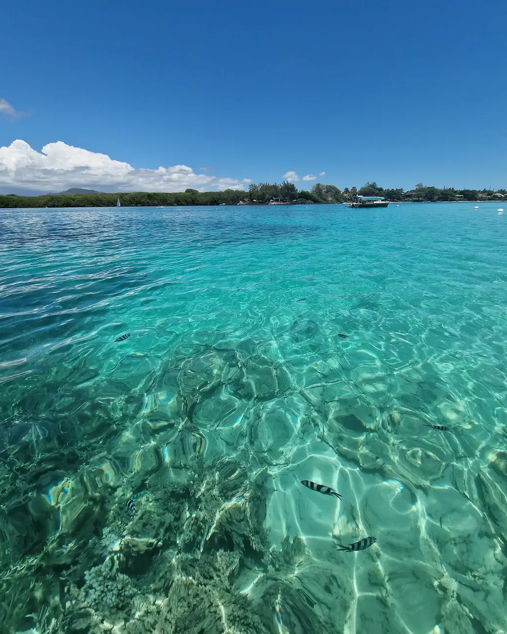 Águas turquesa e transparentes da laguna das Ilhas Mauritius