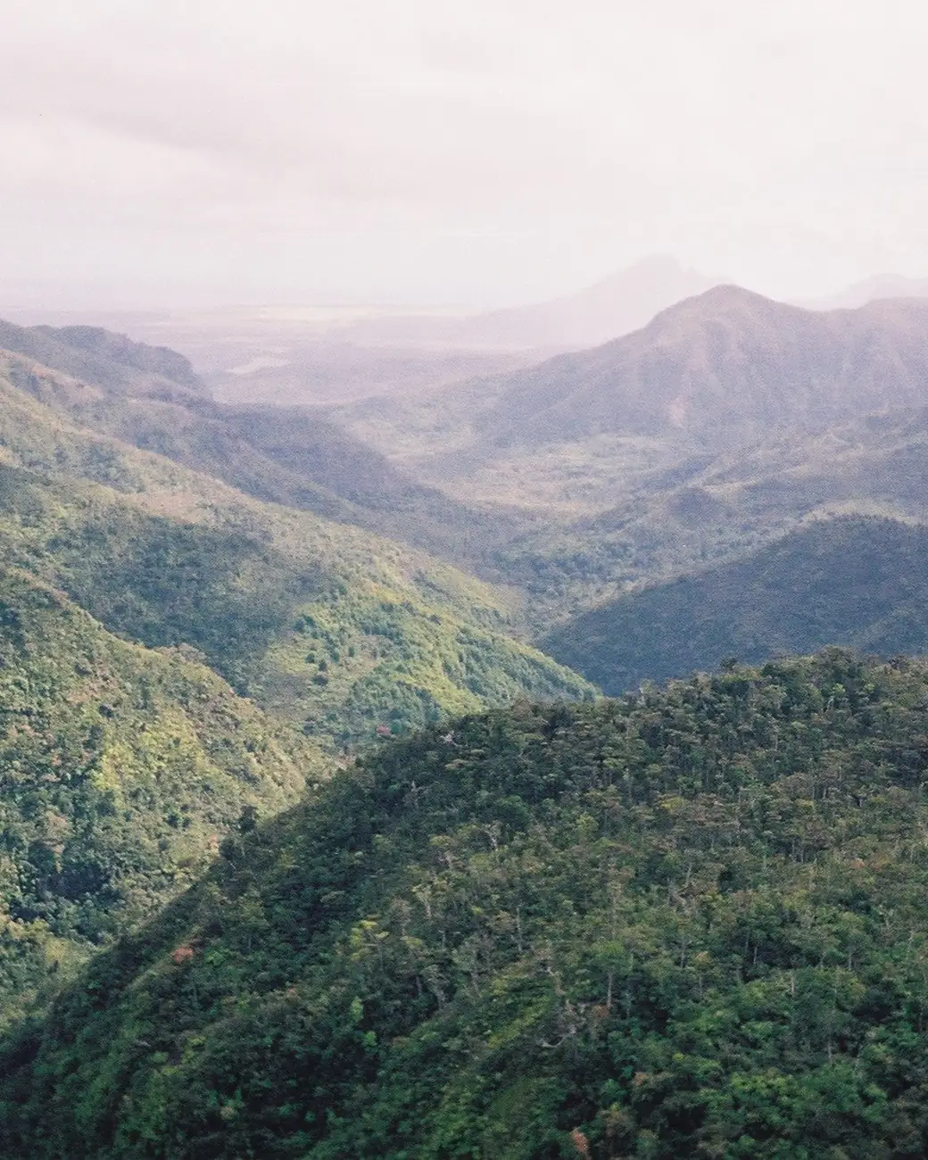 Montanhas verdes cobertas de floresta no interior das Ilhas Mauritius