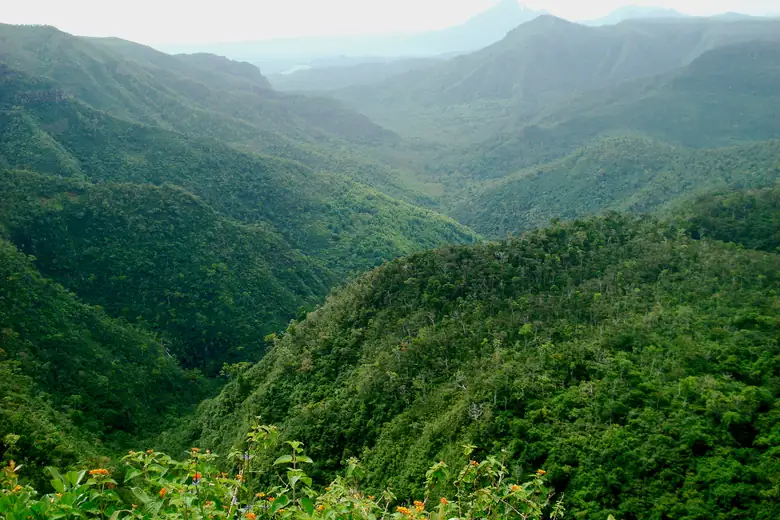 Vale verde entre as montanhas das Ilhas Mauritius