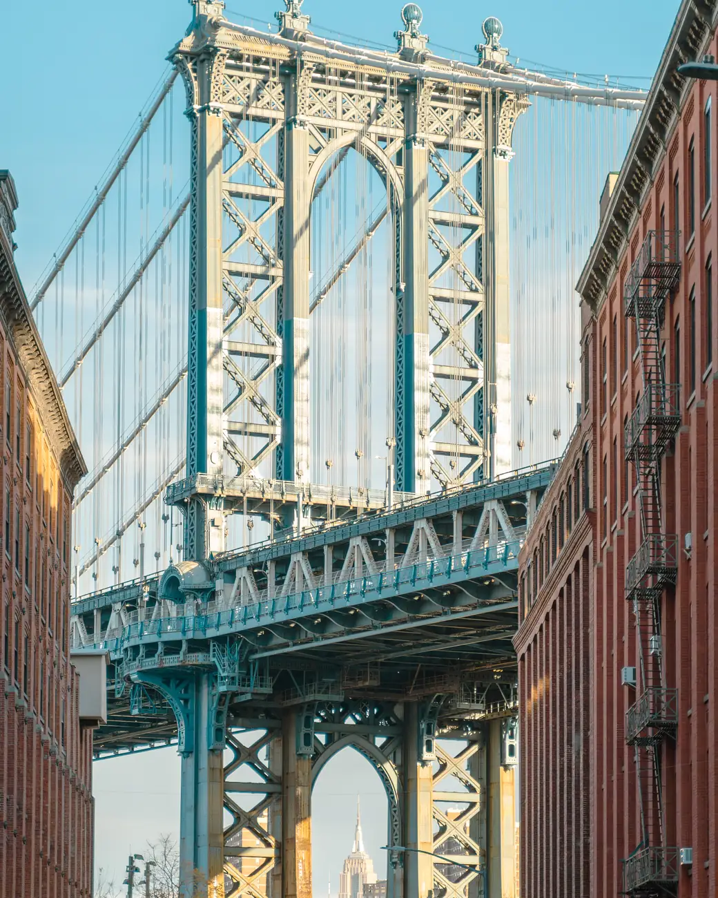 Rua arborizada com brownstones, as casas de tijolos típicas de Nova York