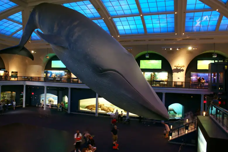 Salão do Museu Americano de História Natural, em Nova York