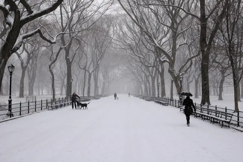 Central Park coberto de neve no inverno