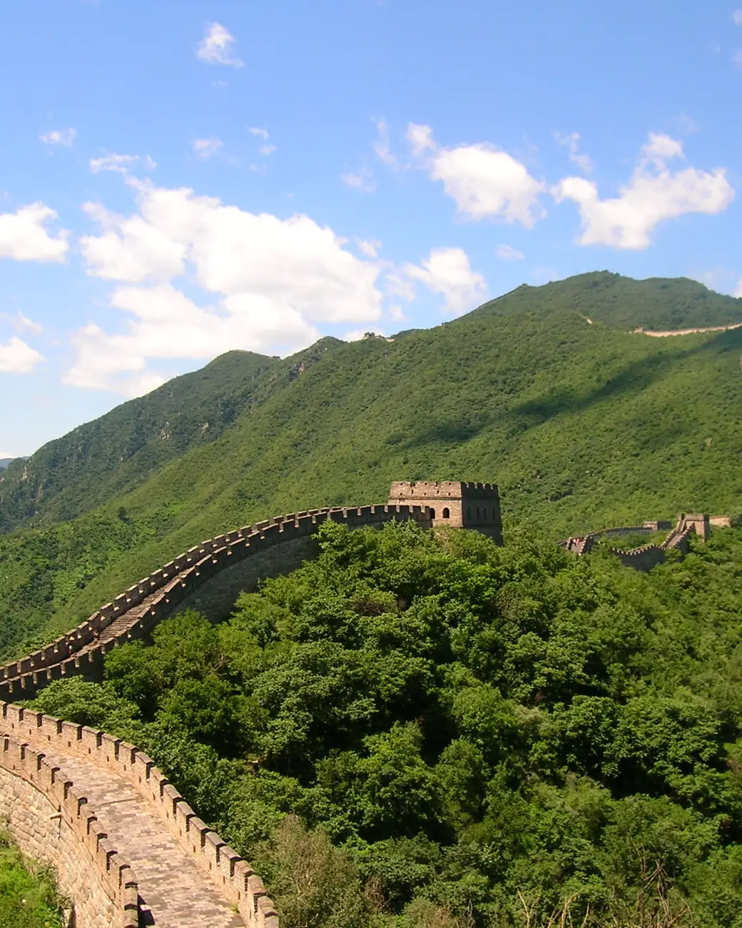 A Grande Muralha serpenteando montanhas verdes no trecho de Mutianyu