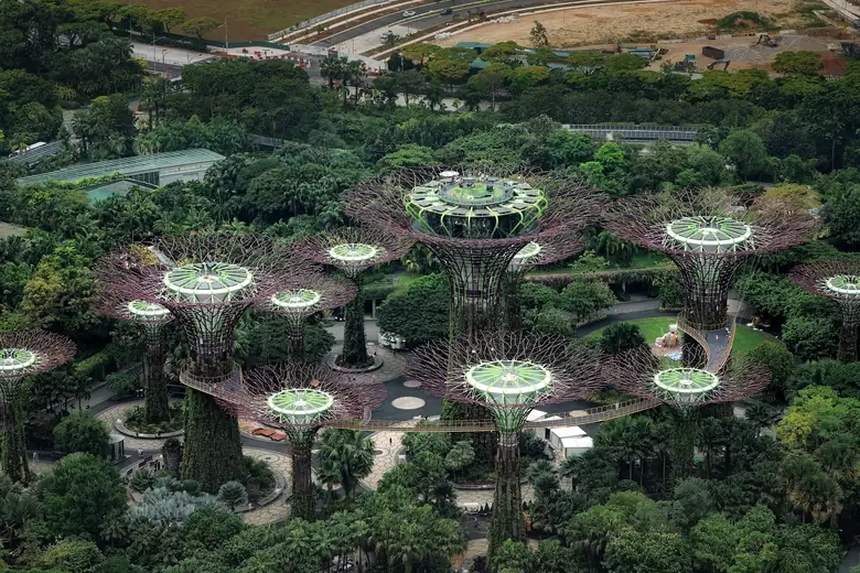 As superárvores do Gardens by the Bay, em Singapura, vistas do alto
