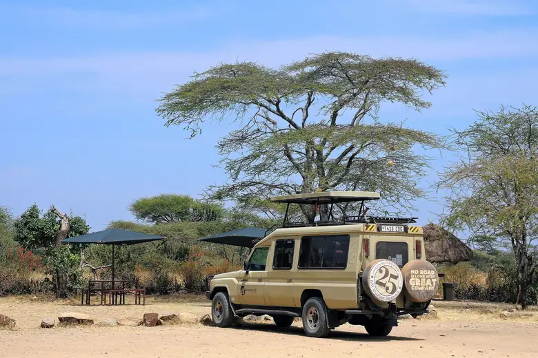 Veículo de safári observando animais na savana do Serengeti